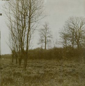 00000000 - 9778 - Ort unbekannt - Wiese.jpg