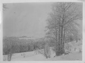 00000000 - 9685 - Ort unbekannt - Winterwald.jpg